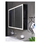 EMCO Aufputz-Lichtspiegelschrank prime 1200x700mm, mit Lichtpaket, 2-türig, aluminium/spiegel