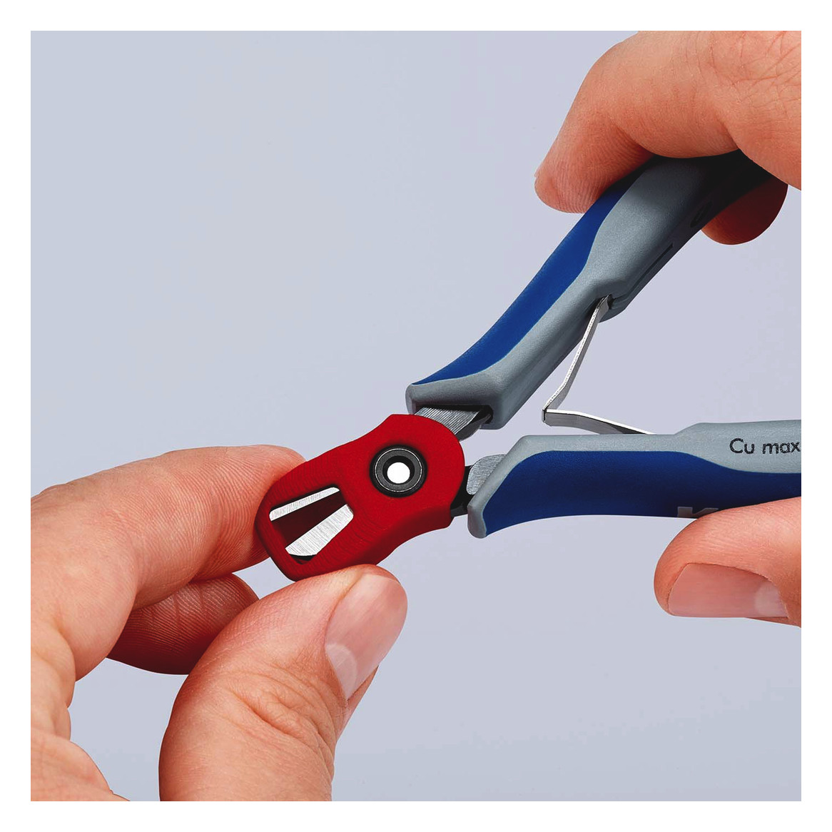 Seitenschneider isol