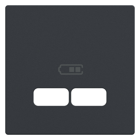 Zentralplatte USB 2f anth Klemmbef m.Aufdr