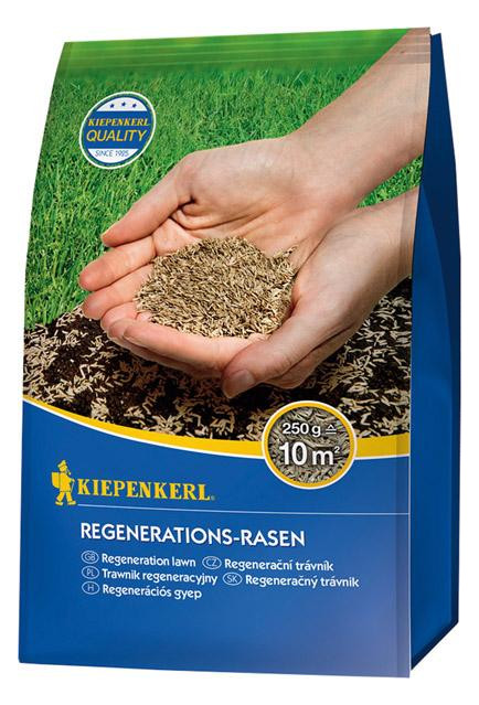 Bild Regenerations-Rasen 250 Kiepenkerl-0