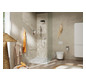 hansgrohe Papierrollenhalter AddStoris mit Ablage, chrom, Wandmontage, Metall