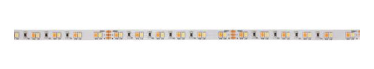 LED-Lichtband 19,2W/m ws 2000-6500K IP00 120Stk/m LED nicht austauschbar 100mm DC