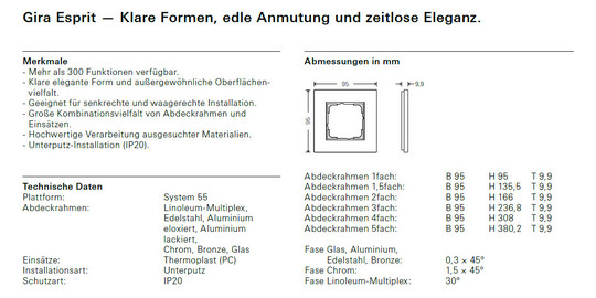 Rahmen 2f sw Esprit Glas Unterputzmontage