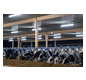 PRACH LED FR-Rohrleuchte TUBIS   5242235 