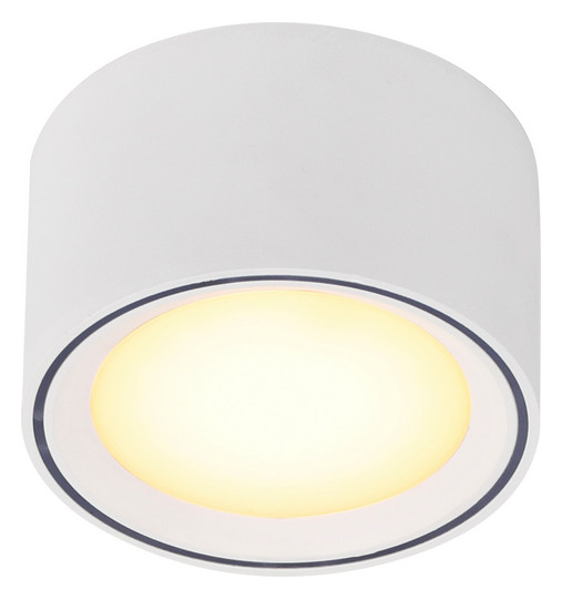 LED-Deckenanbauleuchte FALLON 5,5W 2700K 500lm ws Konv IP20 Ø100x60mm