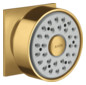 hansgrohe Seitenbrause Axor eckige Rosette, schwenkbar, 1jet, brushed gold optic