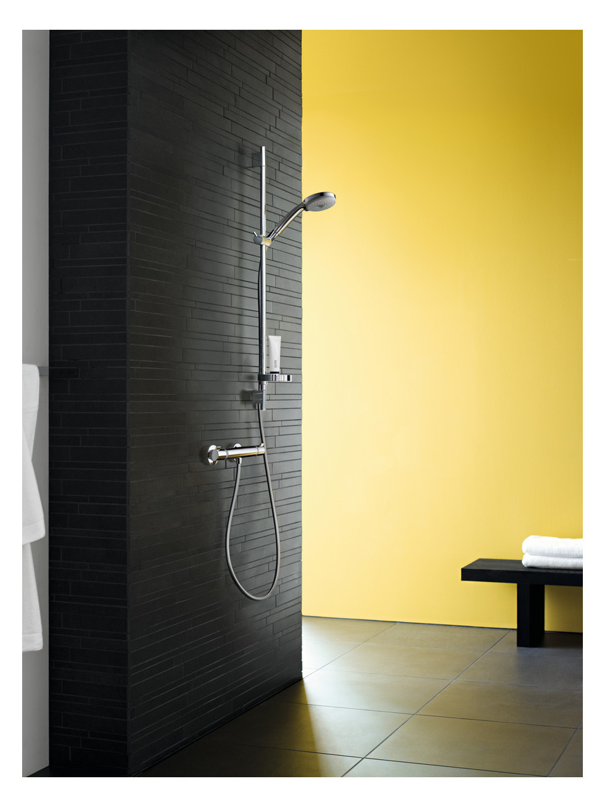 hansgrohe Handbrause Croma 100 Vario chrom