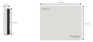 Gateway Wiser AP 100-240V LED m.LED-Anz IP20