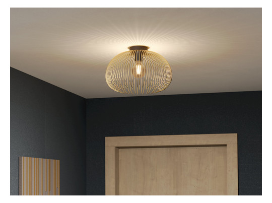 EGLO Wand und Deckenleuchte       900165 