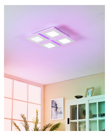 EGLO Wand und Deckenleuchte       900481 
