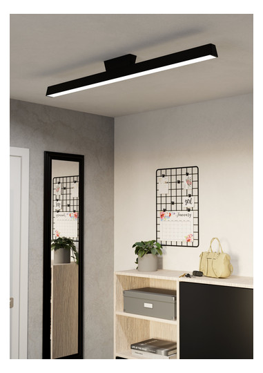 EGLO Wand und Deckenleuchte        99602 