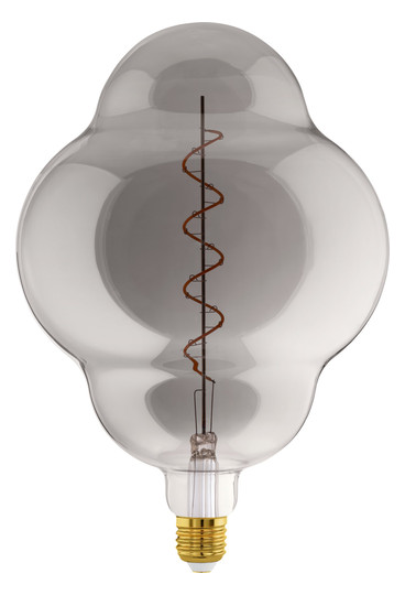 EGLO Leuchtmittel E27-LED CL200   110255 