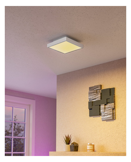 EGLO Wand und Deckenleuchte       900057 