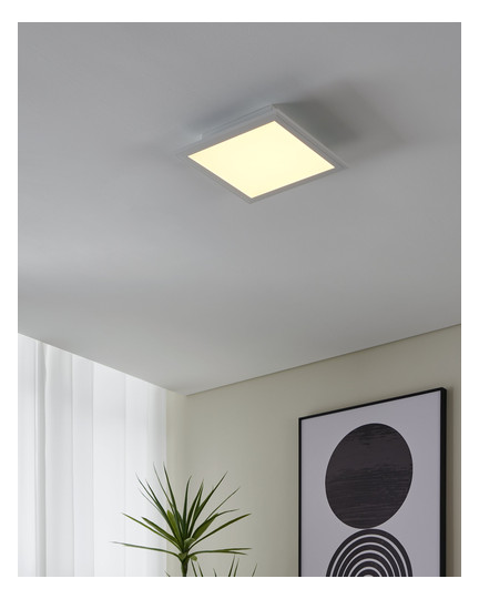 EGLO Wand und Deckenleuchte       900044 