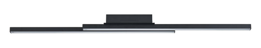 EGLO Wand und Deckenleuchte       900079 