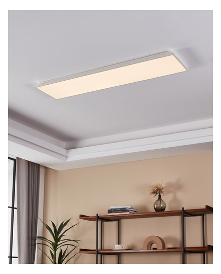 EGLO Wand und Deckenleuchte        99549 
