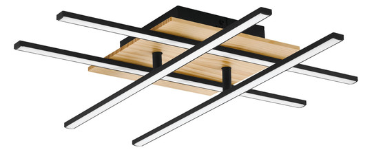 EGLO Wand und Deckenleuchte        99793 