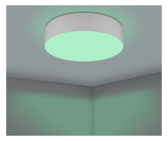 EGLO Wand und Deckenleuchte       900442 