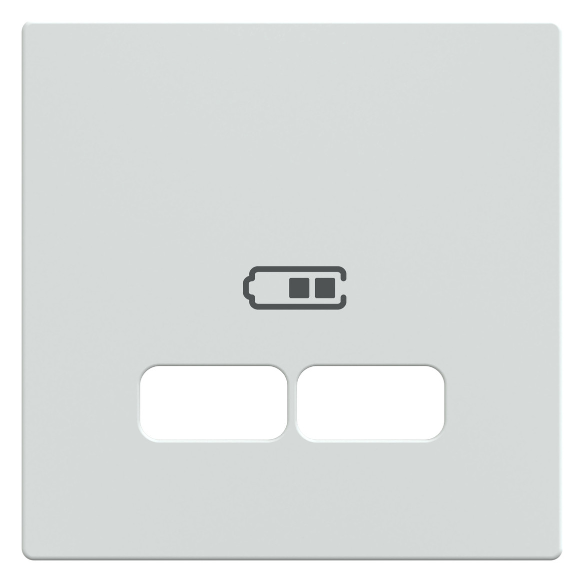 Zentralplatte USB 2f polws Klemmbef m.Aufdr