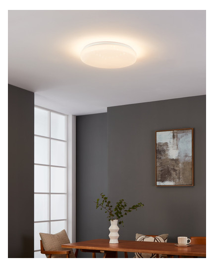 EGLO Wand und Deckenleuchte       900636 