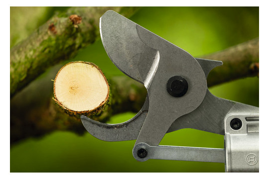 Bosch Akku-Gartenschere       06008D8002 