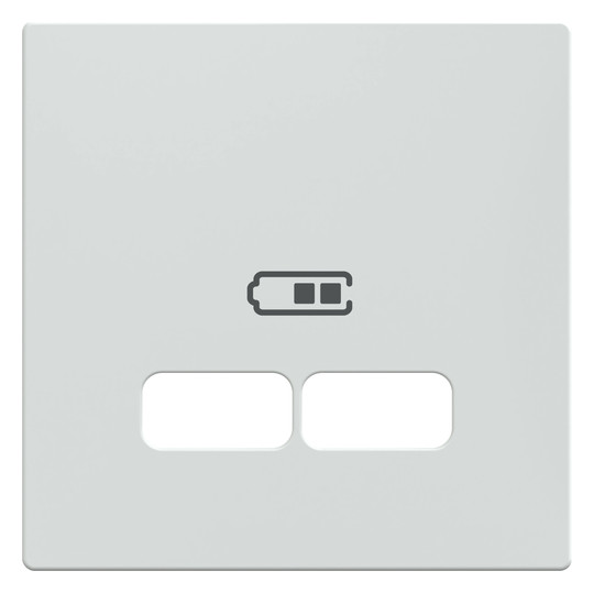 Zentralplatte USB 2f akws Klemmbef m.Aufdr aktivweiß