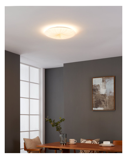 EGLO Wand und Deckenleuchte       900499 