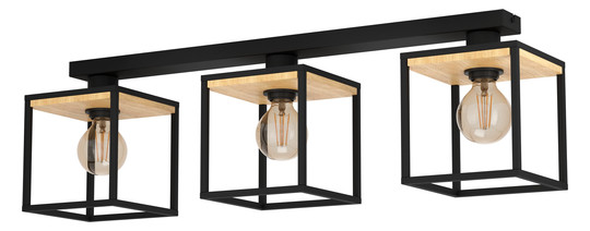 EGLO Wand und Deckenleuchte        99856 