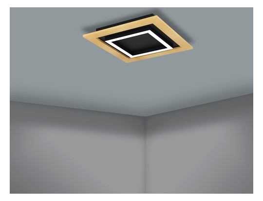 EGLO Wand und Deckenleuchte       900603 