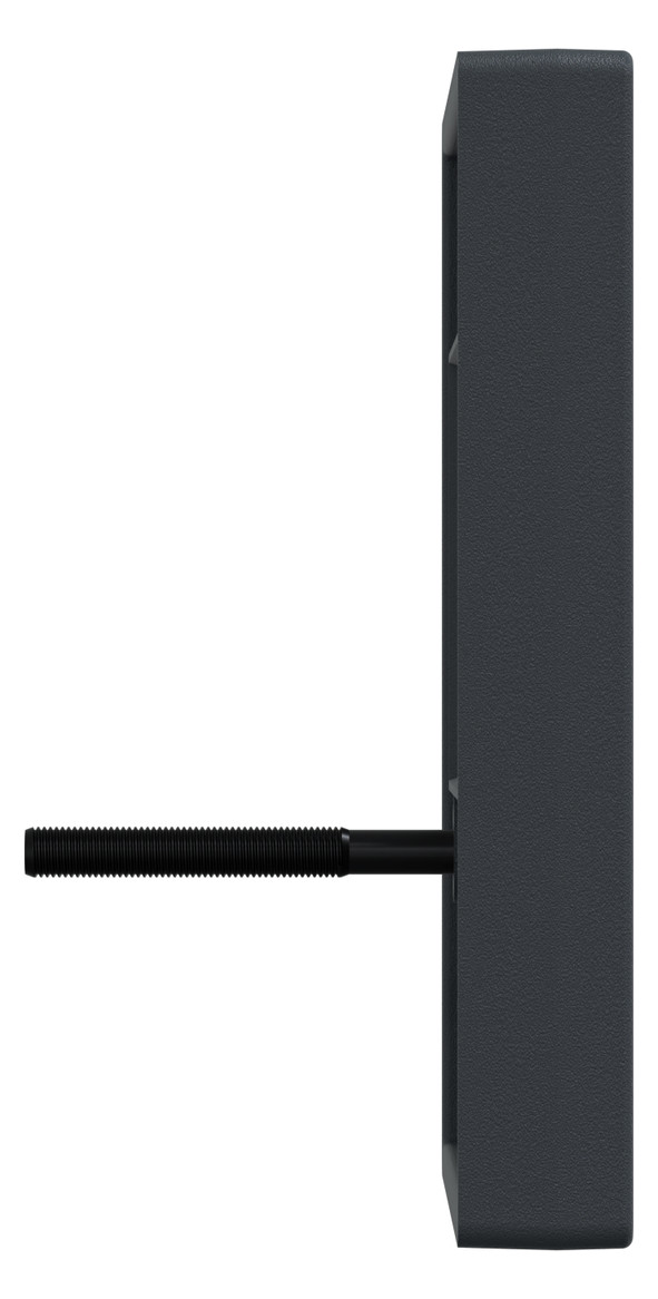 Zentralplatte TAE 2f System M anth Schraubbef