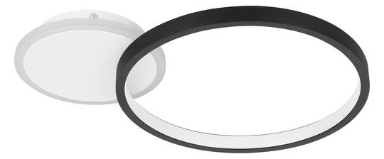 EGLO Wand und Deckenleuchte       900421 