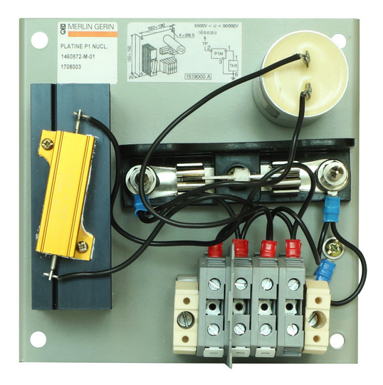 Schneider Vigilohm               1460872 