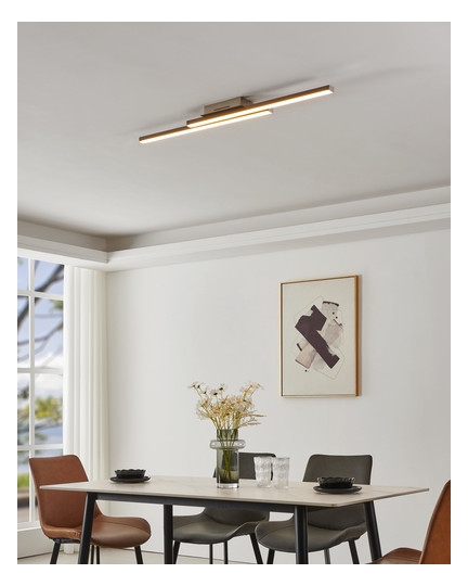EGLO Wand und Deckenleuchte       900076 