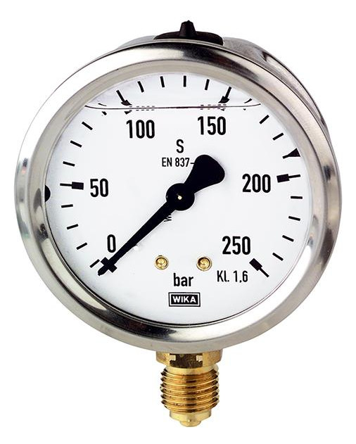 Bild Glyzerinmanometer stehend, 40mm, 0-4 bar, G1/4"", Einfachskala, CrNi-Stahl-Geh., - RIEGLER-0