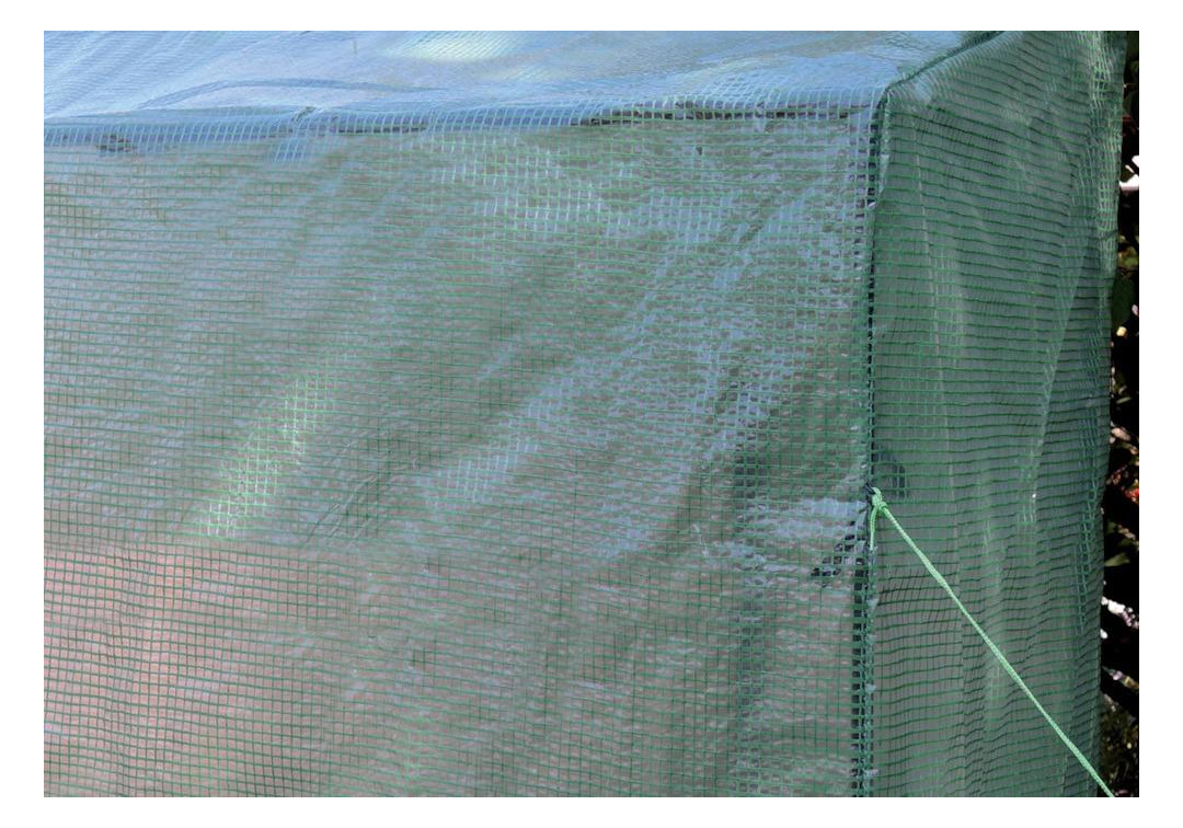 Bild Tomatenhaus 195x60x215/195 cm - floraworld-6