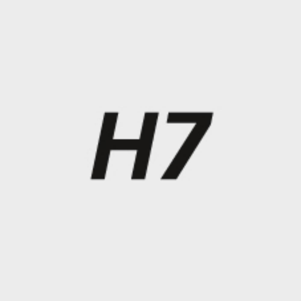 Bild Grenzlehrdorn DIN2245H7 55mm H7 FORTIS-3
