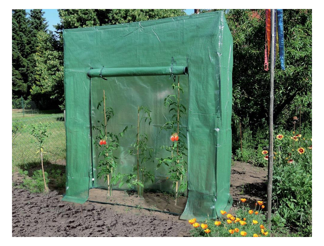 Bild Tomatenhaus 195x60x215/195 cm - floraworld-2