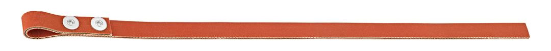 Bild Band für Bandschüssel 280mm FORTIS-0