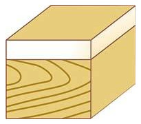 Bild Bündigfr. Anlau. HW 16x25,4x70 S8 FORTIS-1