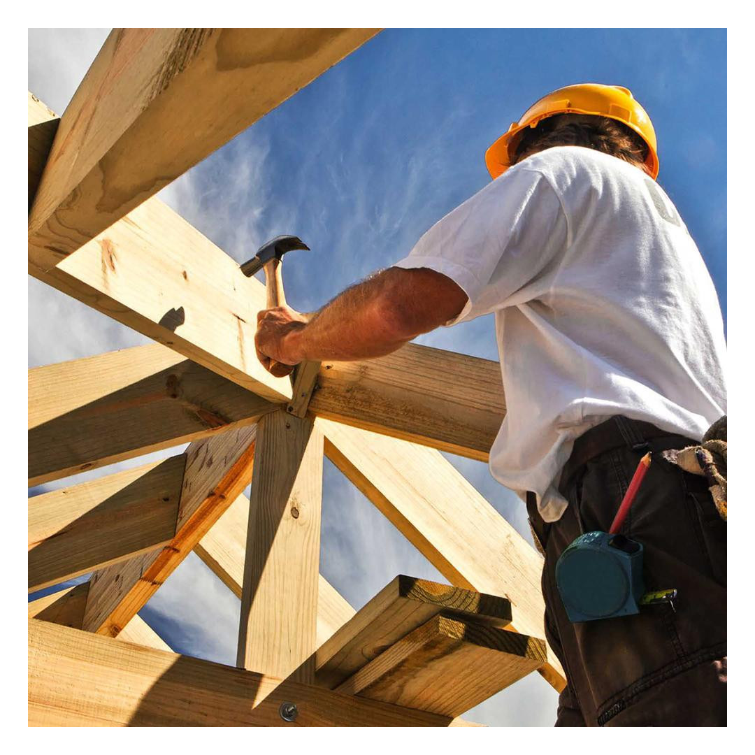 Bild Zimmermanns-Bleistift 333oval rot 24cm LYRA-1