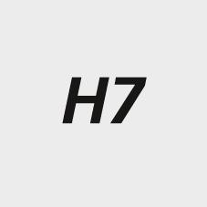 Bild Grenzlehrdorn DIN2245H7 16mm H7 FORTIS-3