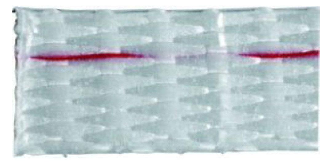 Bild PES-Kraftband 19mm gewebt, 500m-1