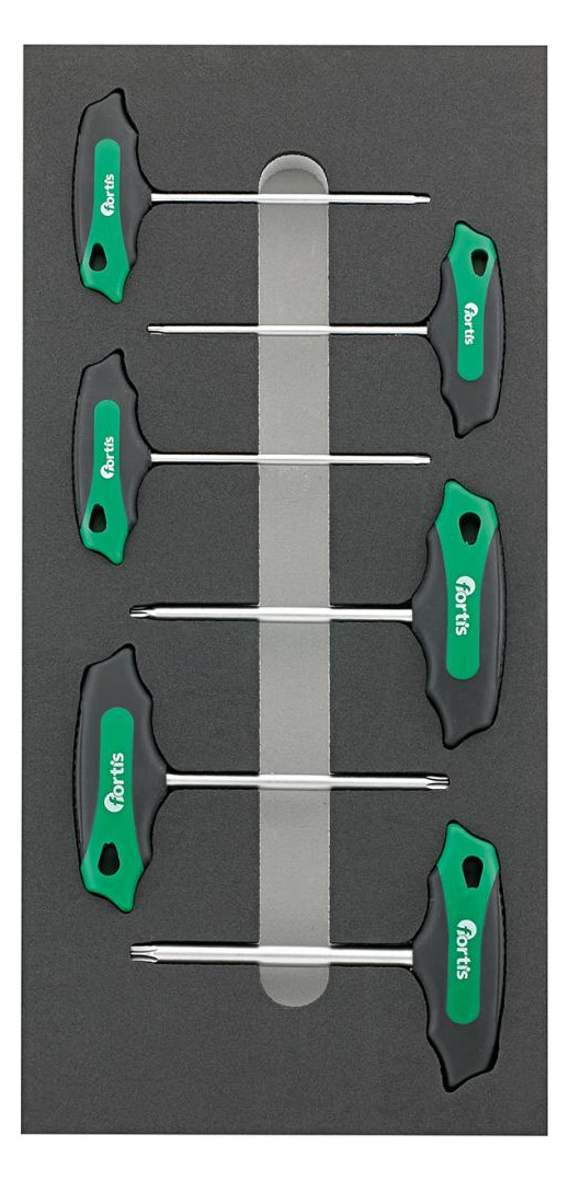 Bild Werkzeugmodul 1/3 T-Griff Torx FORTIS-0