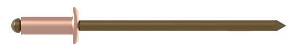 Bild Blindniet Kupfer/Bronze Flachrundkopf 3x8mm GESIPA-4