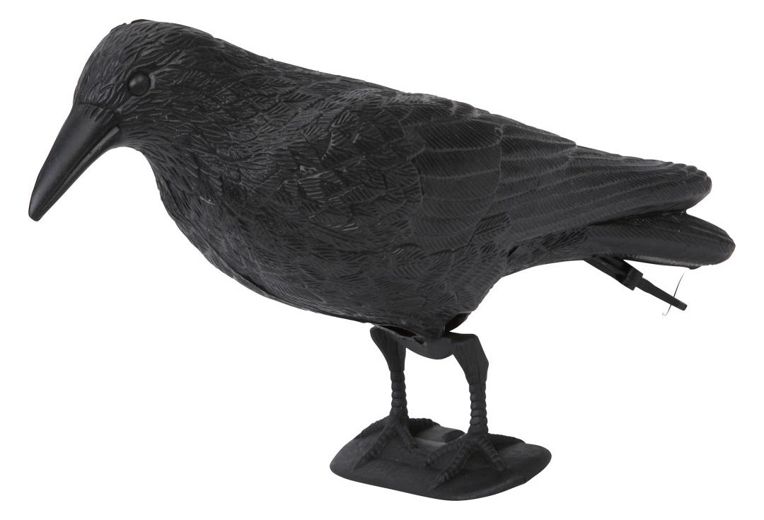 Bild Tierfigur Rabe Kunststoff, schwarz 37x15 cm Floraworld - n.a.-0