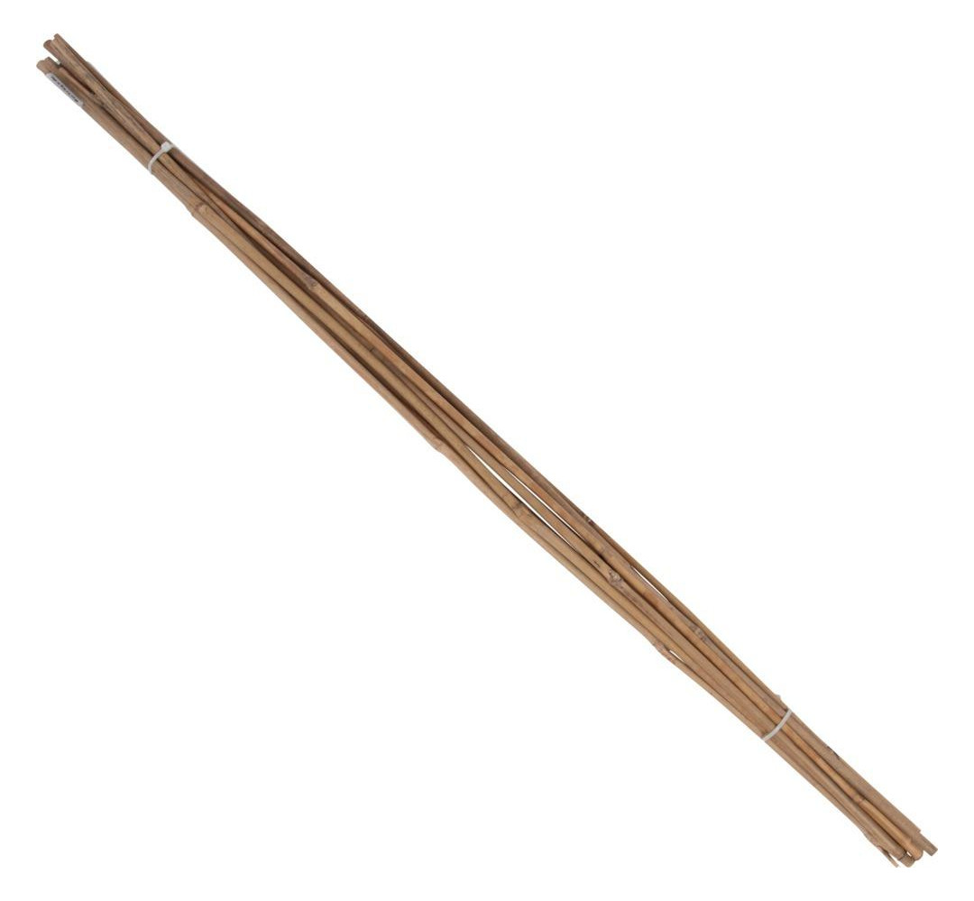 Bild Tonkin-Pflanzstab Ø 8-10mm 120cm 10er Bu nd Floraworld-0
