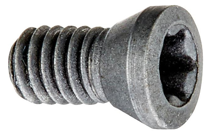 Bild Spannschraube für Wendeschneidplatte M2, 5x5,5 T08 - fortis-0