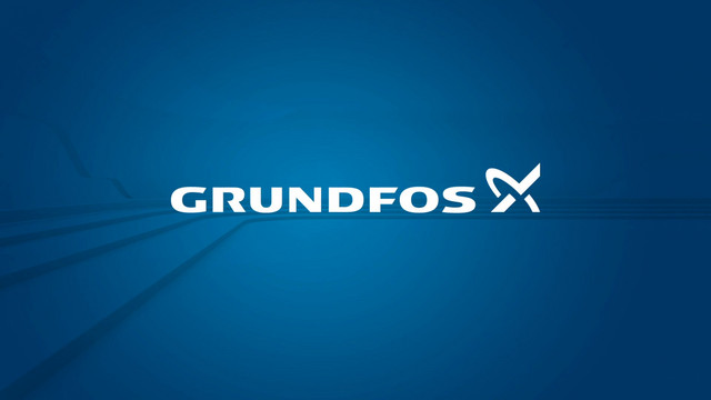 Grundfos Zirkulationspumpe Comfort 15-14 BX PM, G 1, 230 V, Dach