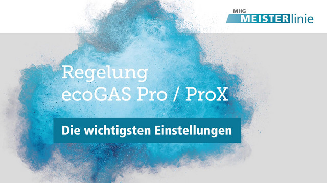 MHG Gas-Brennwertgerät ecoGAS Pro 24, wandhängend