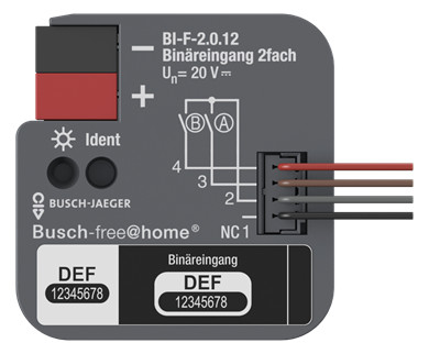 BJ Binäreingang 2fach UP     BI-F-2.0.12 
